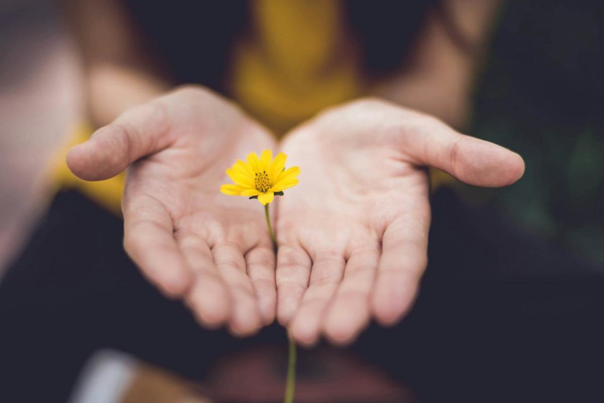 Medication Assisted Treatment